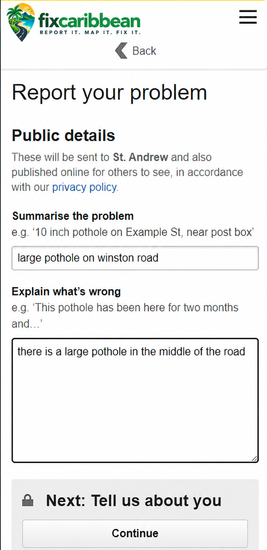 Mobile report form showing a problem summary and public description fields